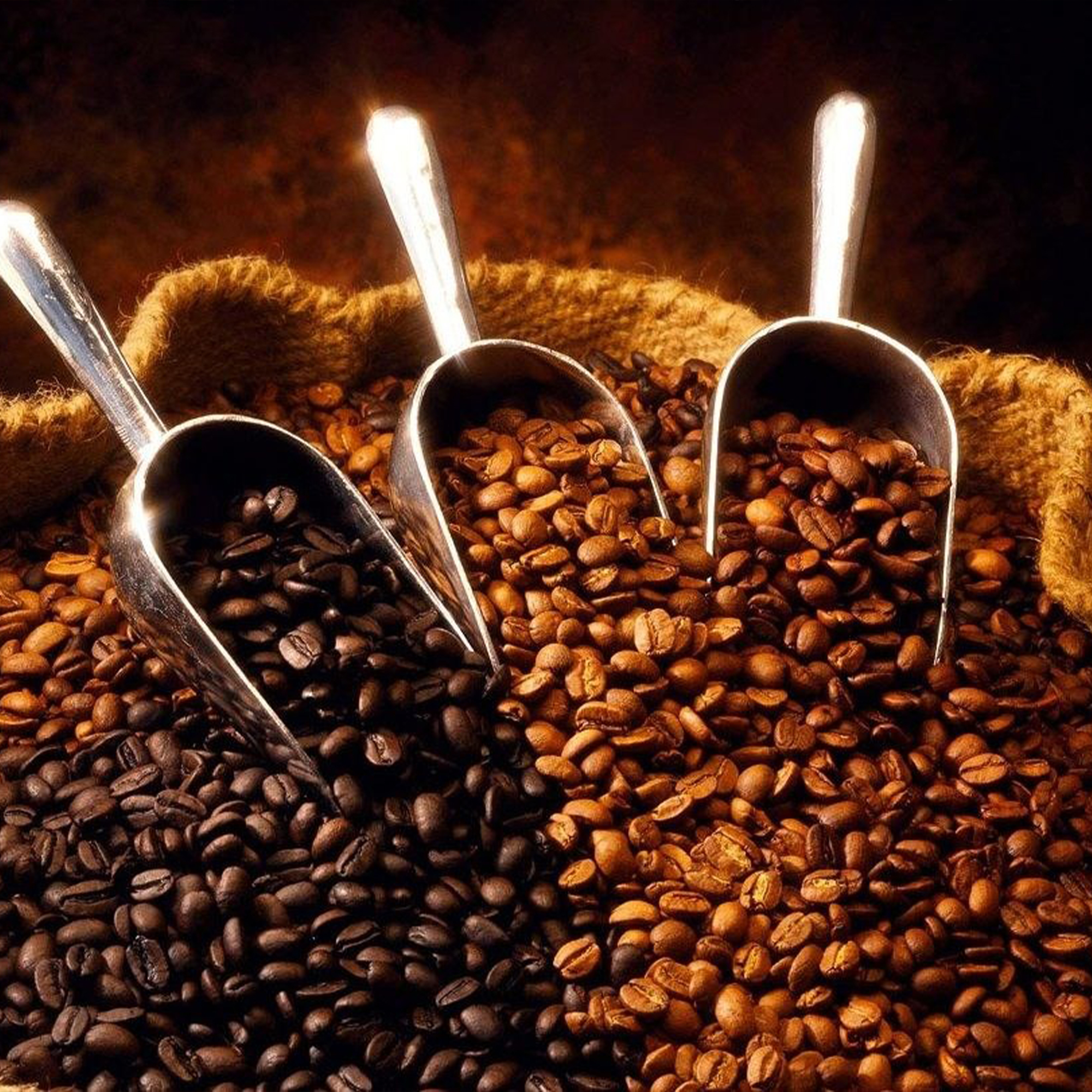 میکس های اقتصادی میکس های اقتصادی
