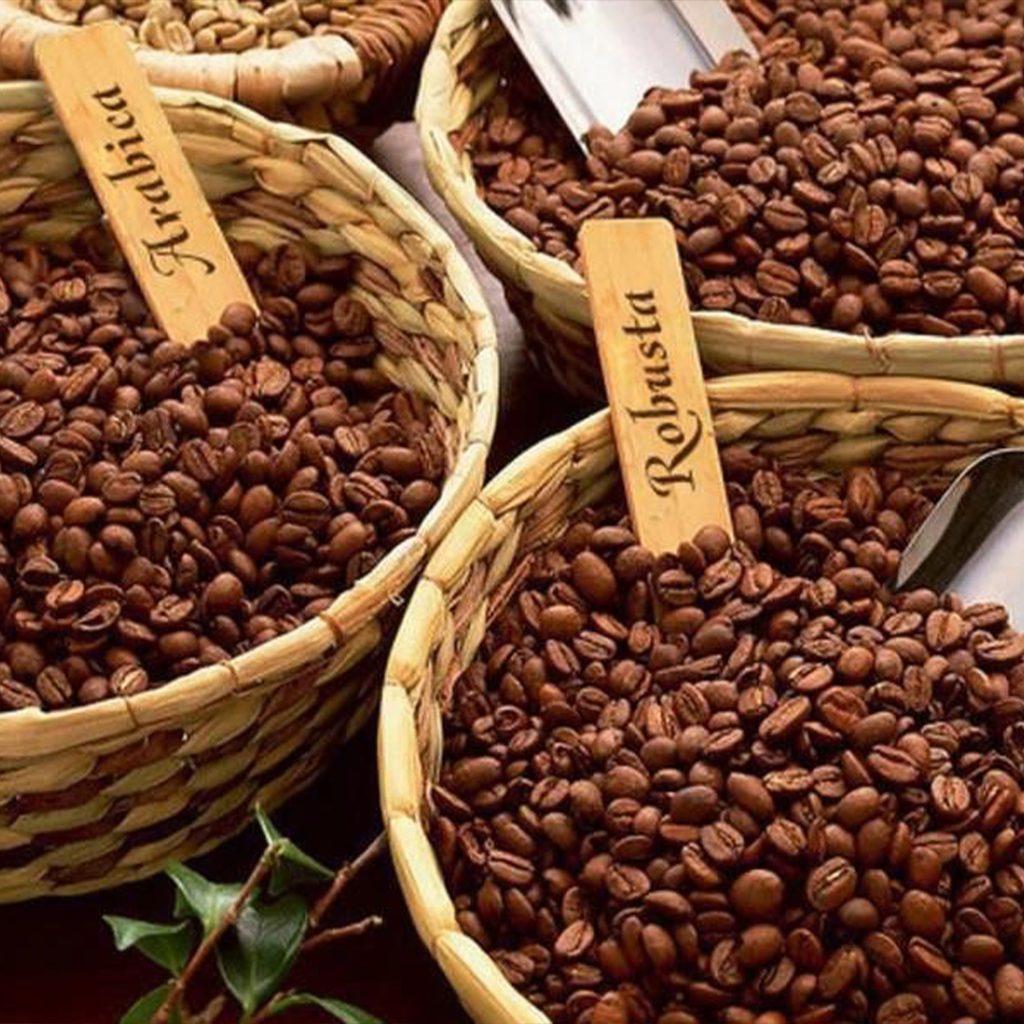میکس های سوپر لوکس سانتوس